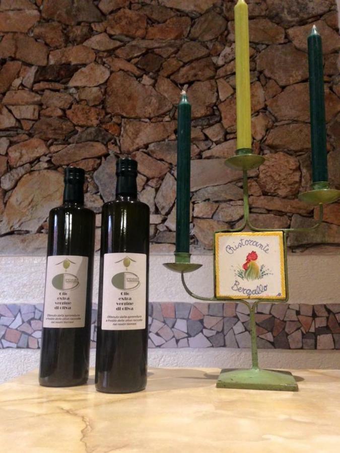Albergo Ristorante Bergallo Tovo San Giacomo Экстерьер фото